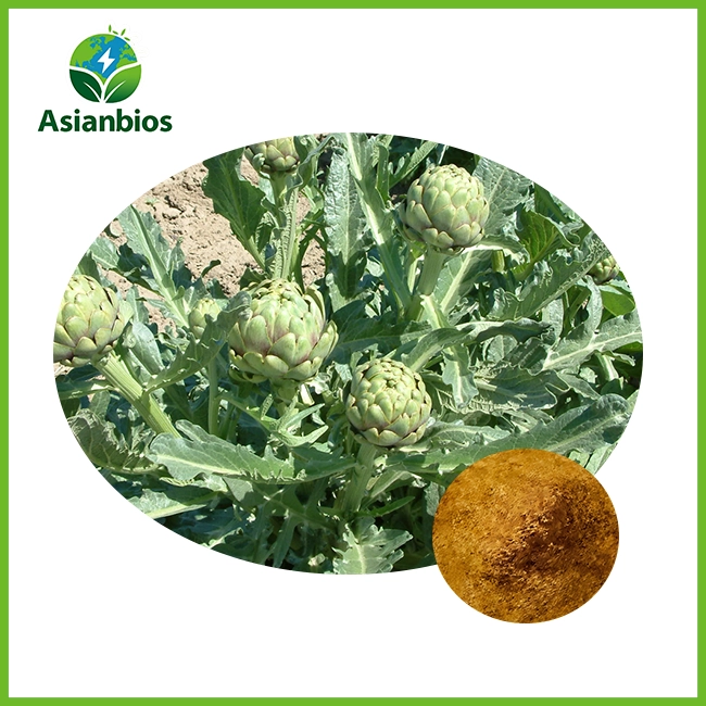 pure artichoke extract